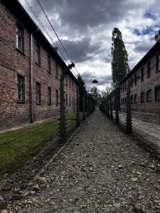 wycieczka